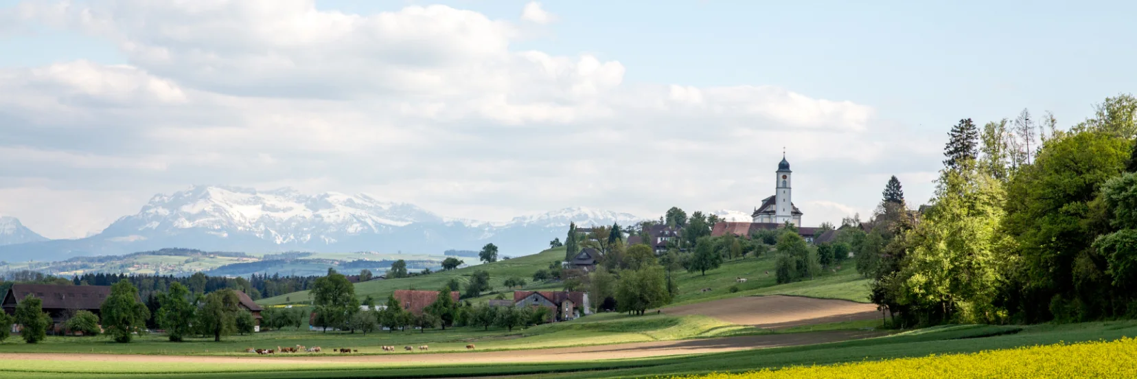 Bild Das Jugenddorf